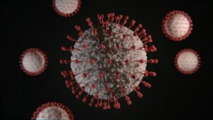 Virus particle