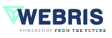 web logo